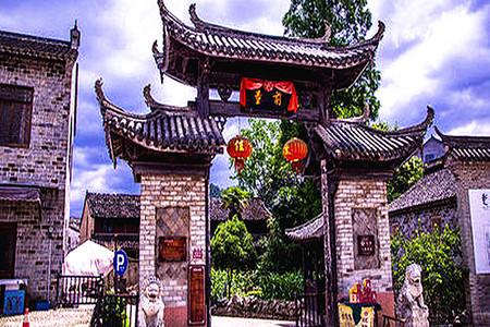 逃离变色龙森林